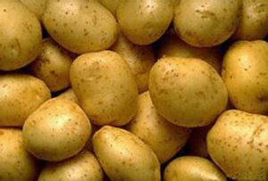 Pols de patata