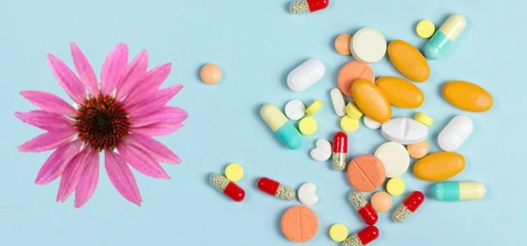 echinacea capusle and tablet