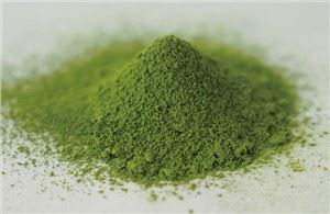 Matcha orgànic en pols