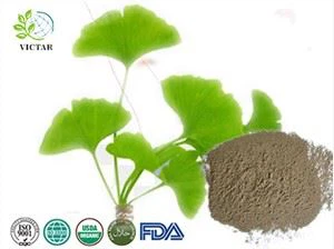 Pols de Ginkgo Biloba orgànic