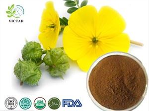 Extracte de Tribulus Terrestris